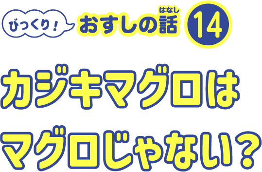 魚の体の色が上と下でちがうのはなぜ？