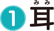 1 耳